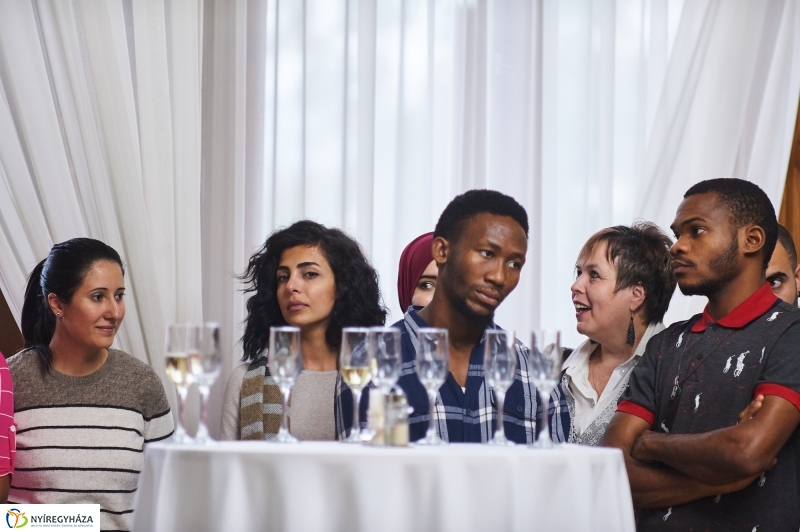 Osztrák Köztársaság nemzeti ünnepe - fotó Szarka Lajos