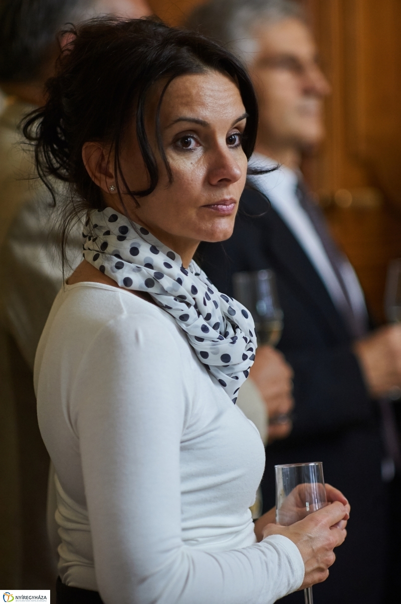 Osztrák Köztársaság nemzeti ünnepe - fotó Szarka Lajos