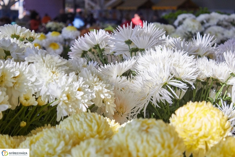 Mindenszentekre készülve - fotó Szarka Lajos