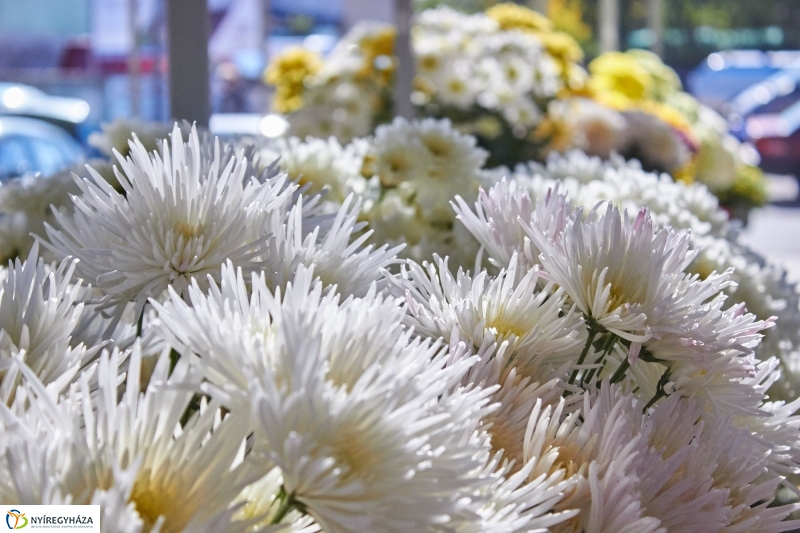 Mindenszentekre készülve - fotó Szarka Lajos