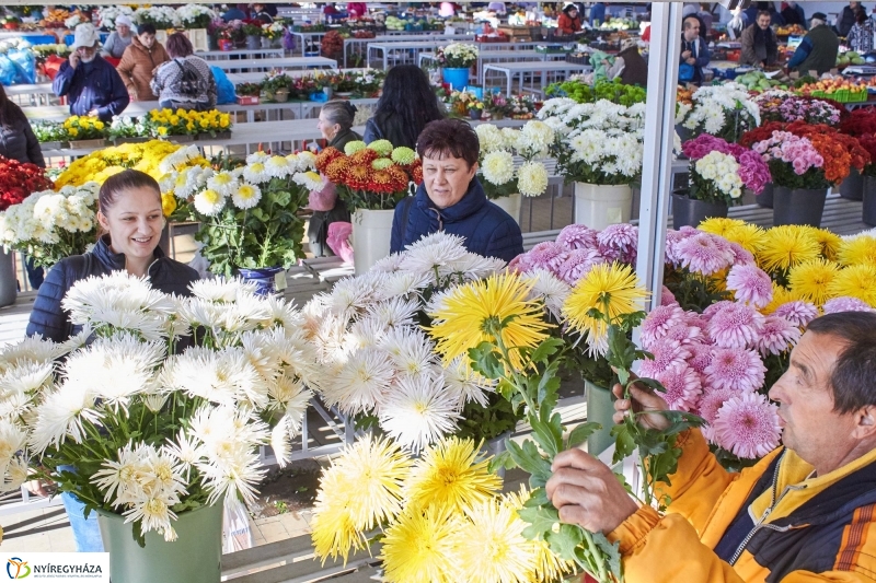 Mindenszentekre készülve - fotó Szarka Lajos