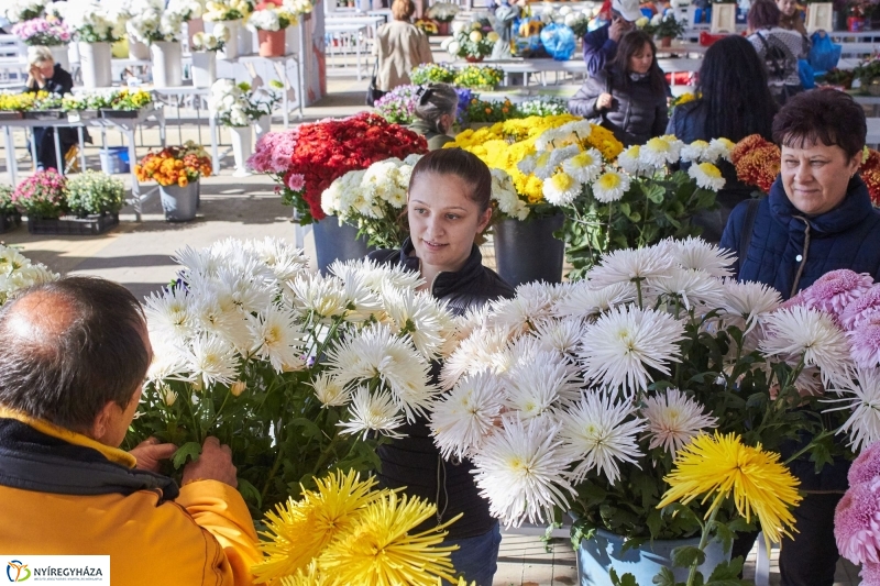 Mindenszentekre készülve - fotó Szarka Lajos