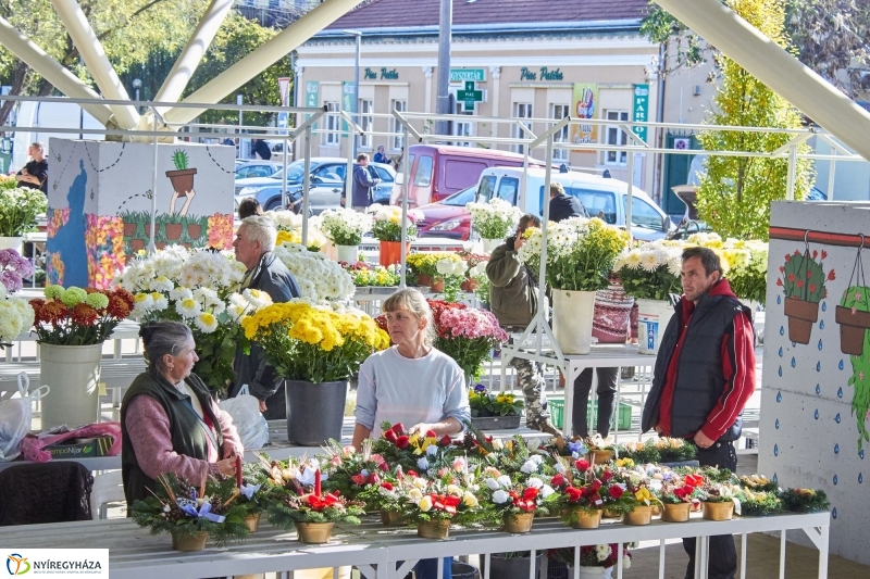 Mindenszentekre készülve - fotó Szarka Lajos