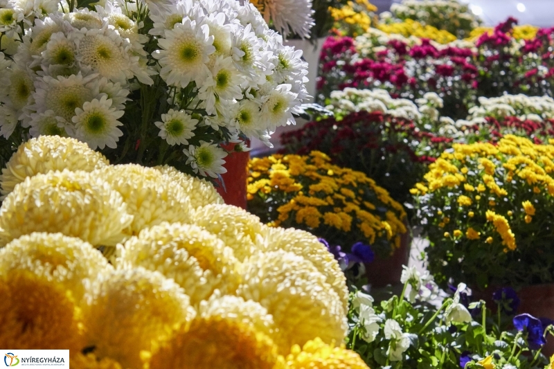 Mindenszentekre készülve - fotó Szarka Lajos