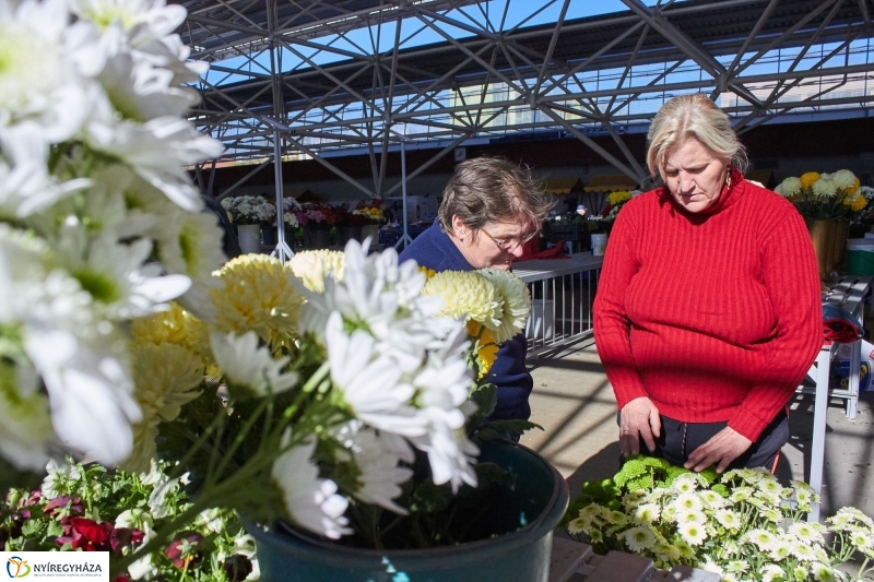 Mindenszentekre készülve - fotó Szarka Lajos