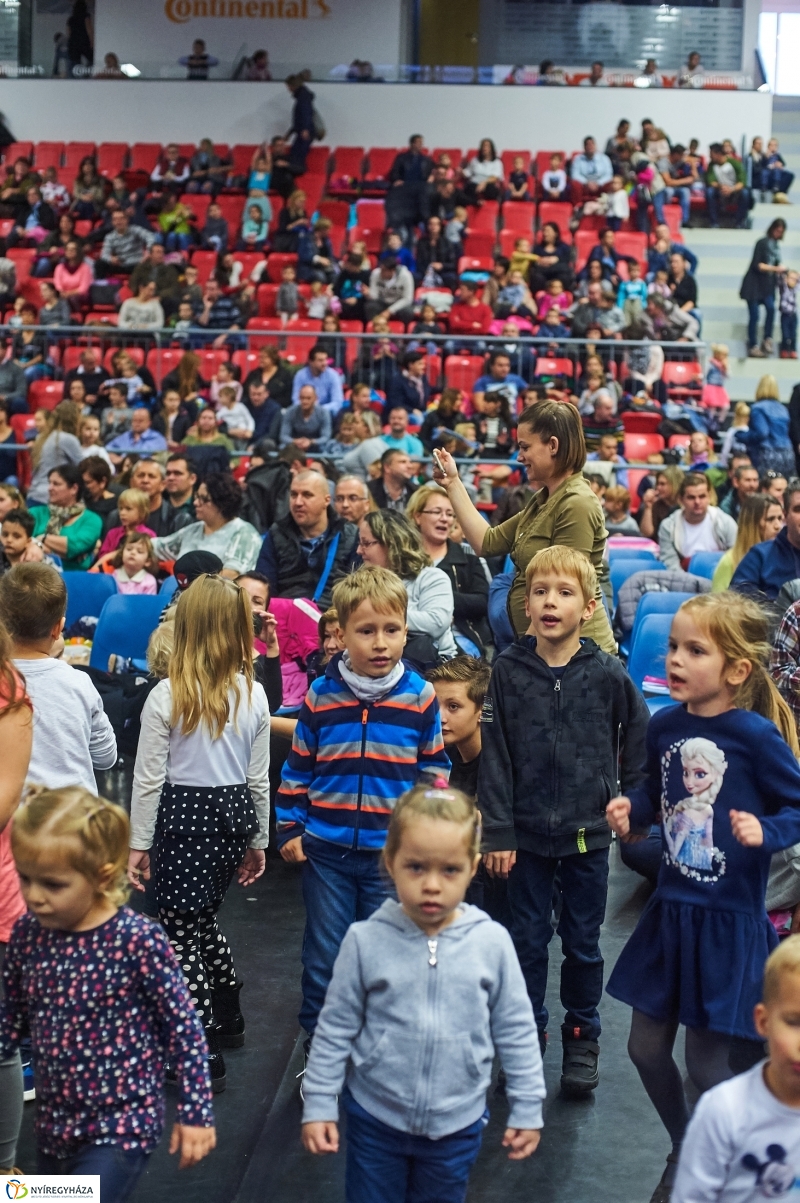Alma-szüret Nyíregyházán - fotó Szarka Lajos