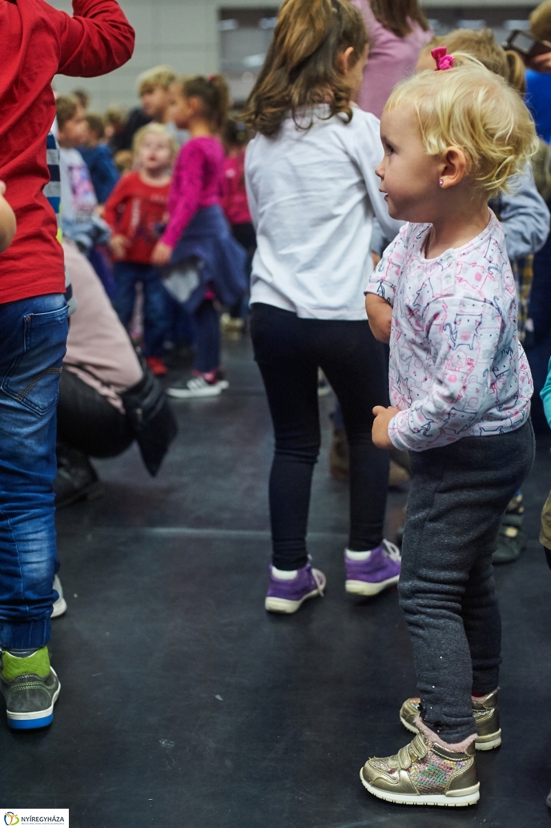 Alma-szüret Nyíregyházán - fotó Szarka Lajos