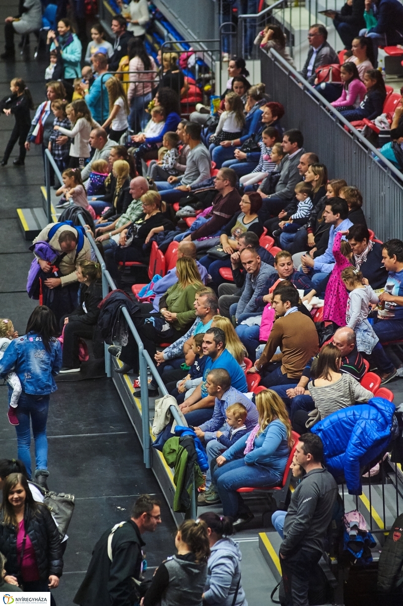 Alma-szüret Nyíregyházán - fotó Szarka Lajos