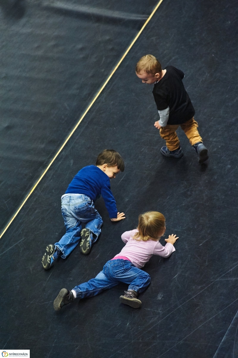 Alma-szüret Nyíregyházán - fotó Szarka Lajos