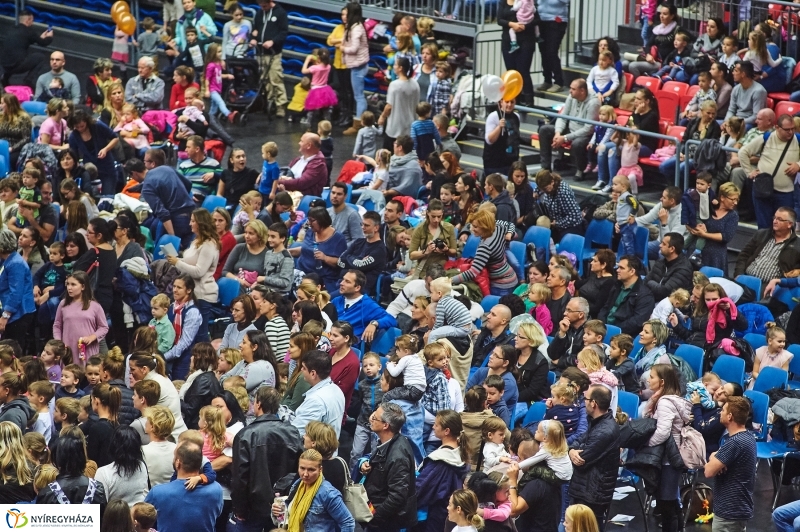 Alma-szüret Nyíregyházán - fotó Szarka Lajos