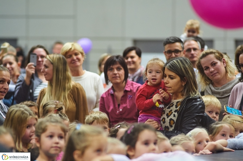 Alma-szüret Nyíregyházán - fotó Szarka Lajos