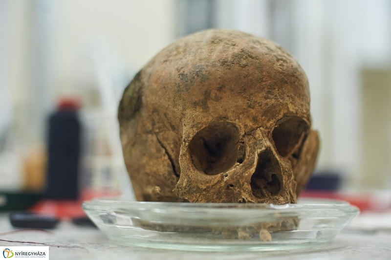 Éjszaka a múzeumban - fotó Szarka Lajos