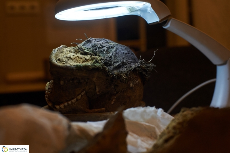 Éjszaka a múzeumban - fotó Szarka Lajos