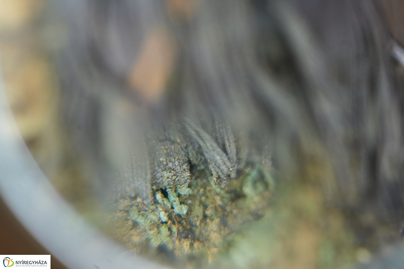 Éjszaka a múzeumban - fotó Szarka Lajos