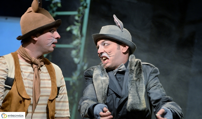 Mirr-Murr kalandjai - fotó Trifonov Éva