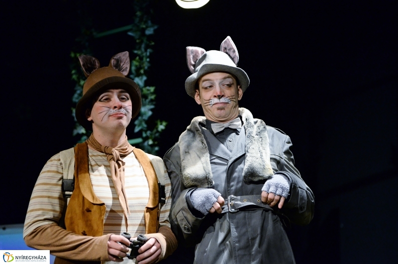 Mirr-Murr kalandjai - fotó Trifonov Éva