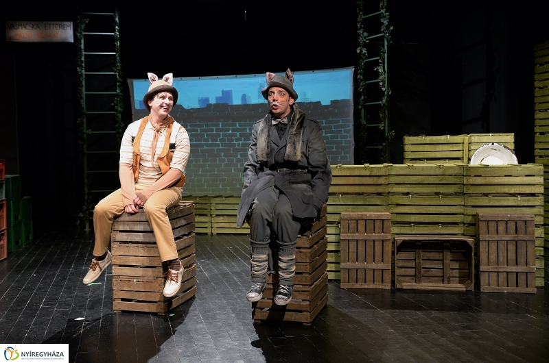 Mirr-Murr kalandjai - fotó Trifonov Éva