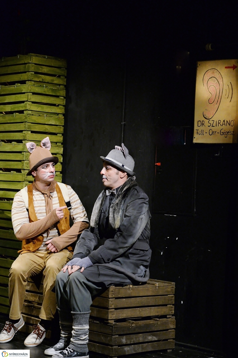 Mirr-Murr kalandjai - fotó Trifonov Éva