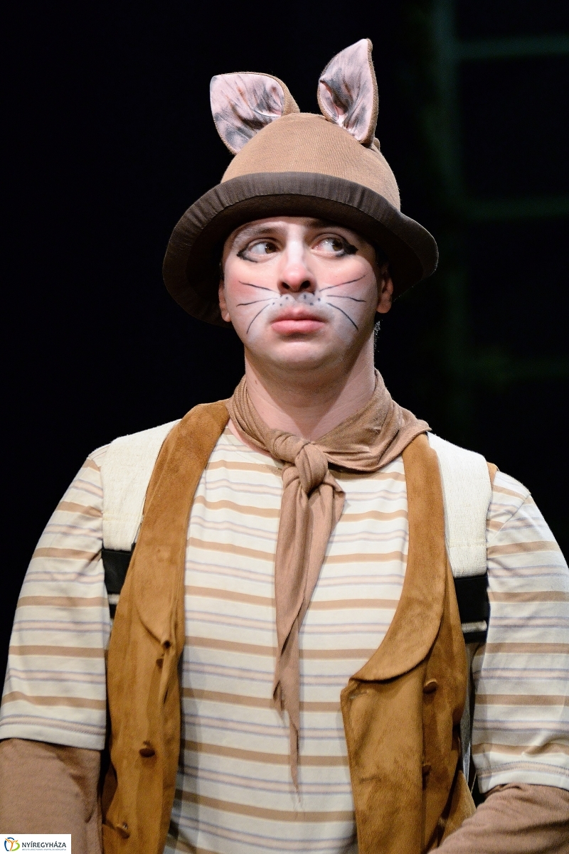 Mirr-Murr kalandjai - fotó Trifonov Éva