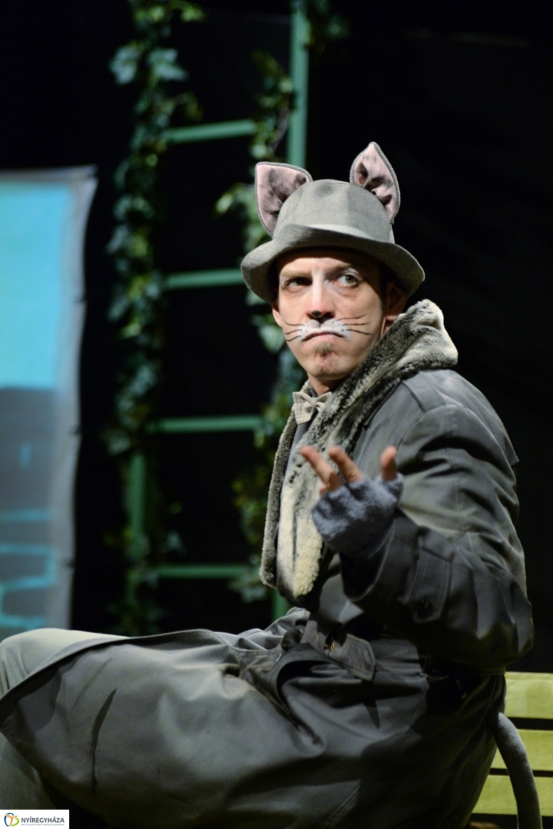 Mirr-Murr kalandjai - fotó Trifonov Éva