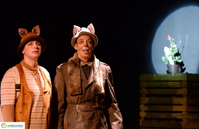 Mirr-Murr kalandjai - fotó Trifonov Éva