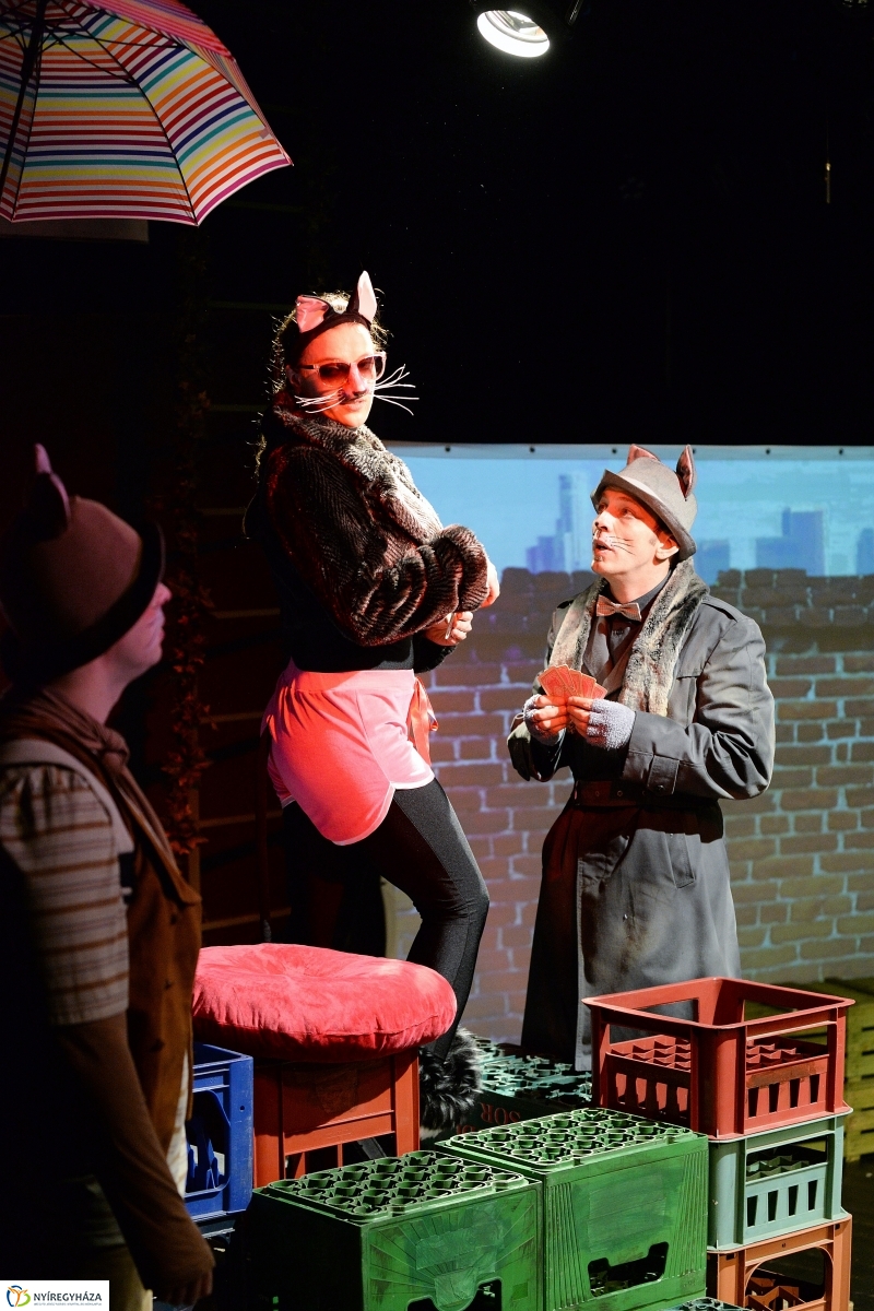 Mirr-Murr kalandjai - fotó Trifonov Éva