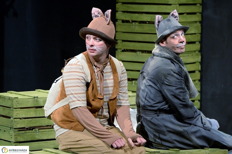 Mirr-Murr kalandjai - fotó Trifonov Éva