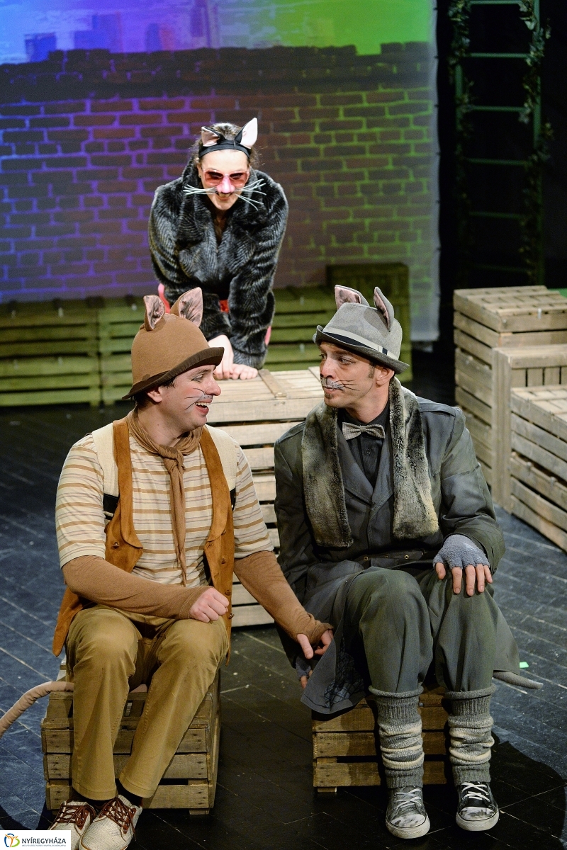 Mirr-Murr kalandjai - fotó Trifonov Éva