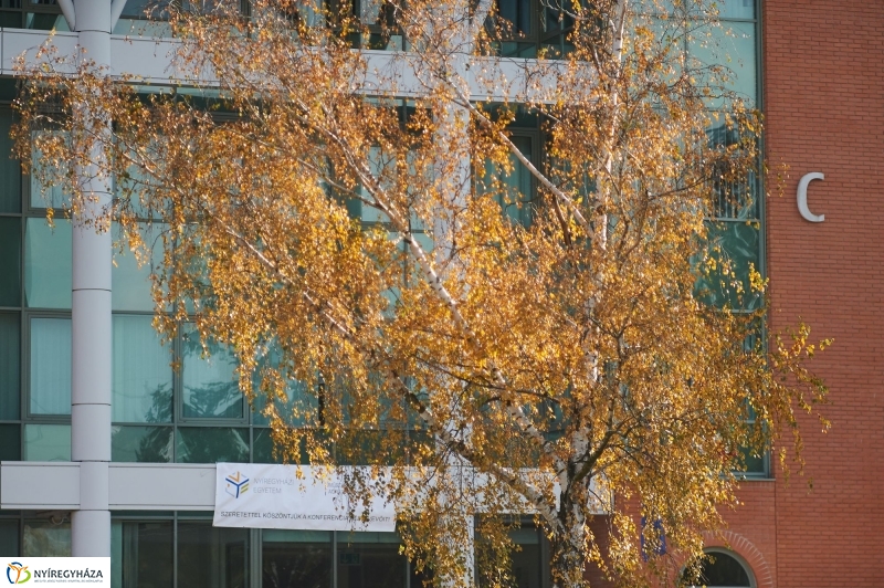 Agrár fórum az egyetemen - fotó Szarka Lajos