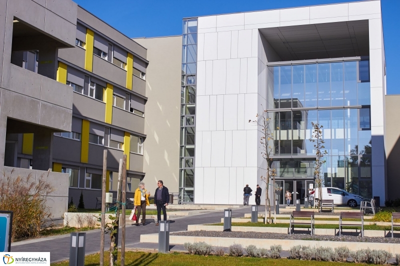 Szelektív hulladékgyűjtés a kórházban - fotó Szarka Lajos