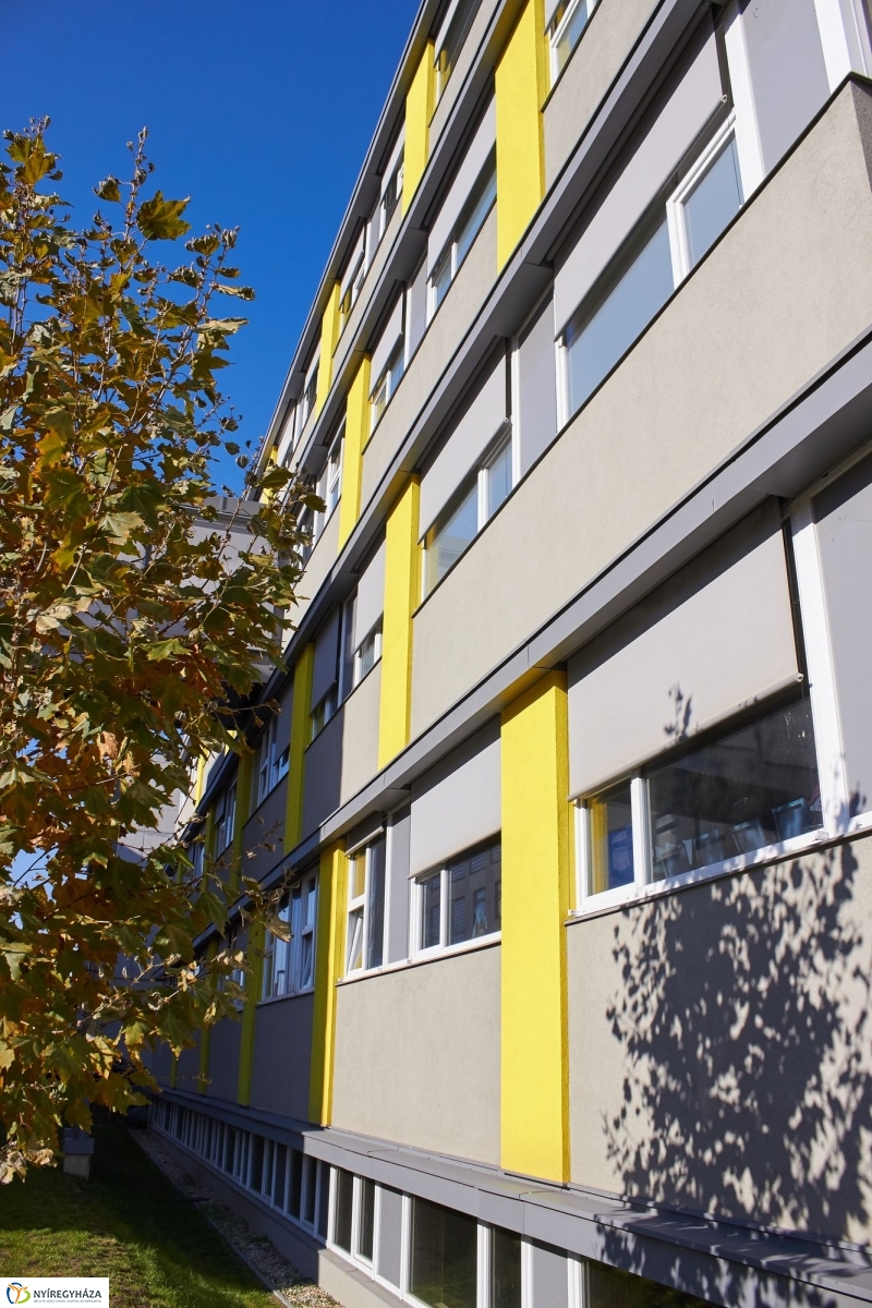 Szelektív hulladékgyűjtés a kórházban - fotó Szarka Lajos