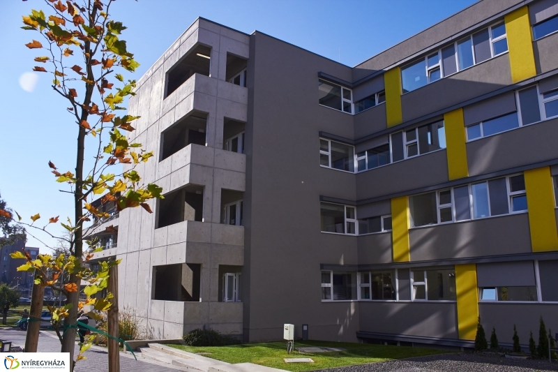 Szelektív hulladékgyűjtés a kórházban - fotó Szarka Lajos