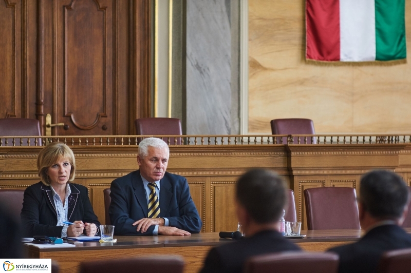 Megyei védőnői konzultáció - fotó Szarka Lajos