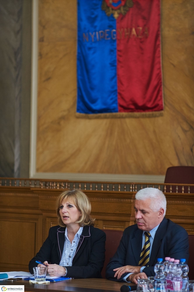 Megyei védőnői konzultáció - fotó Szarka Lajos