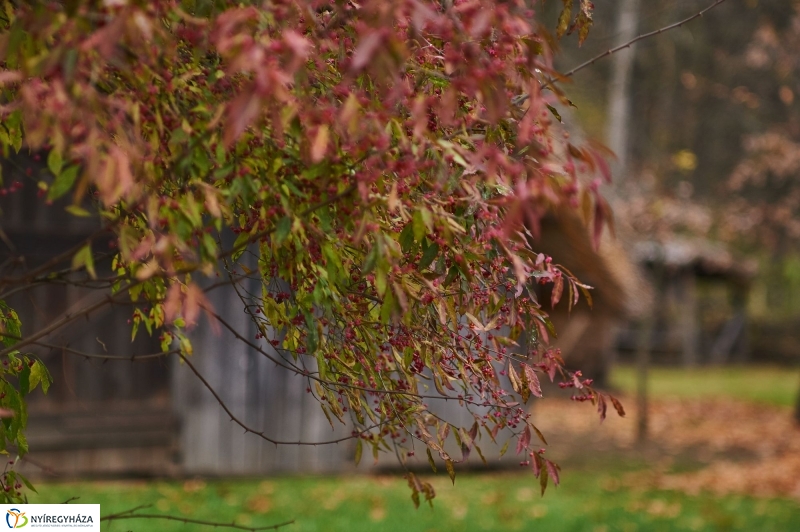 Márton napi vigasság beharangozó - fotó Szarka Lajos