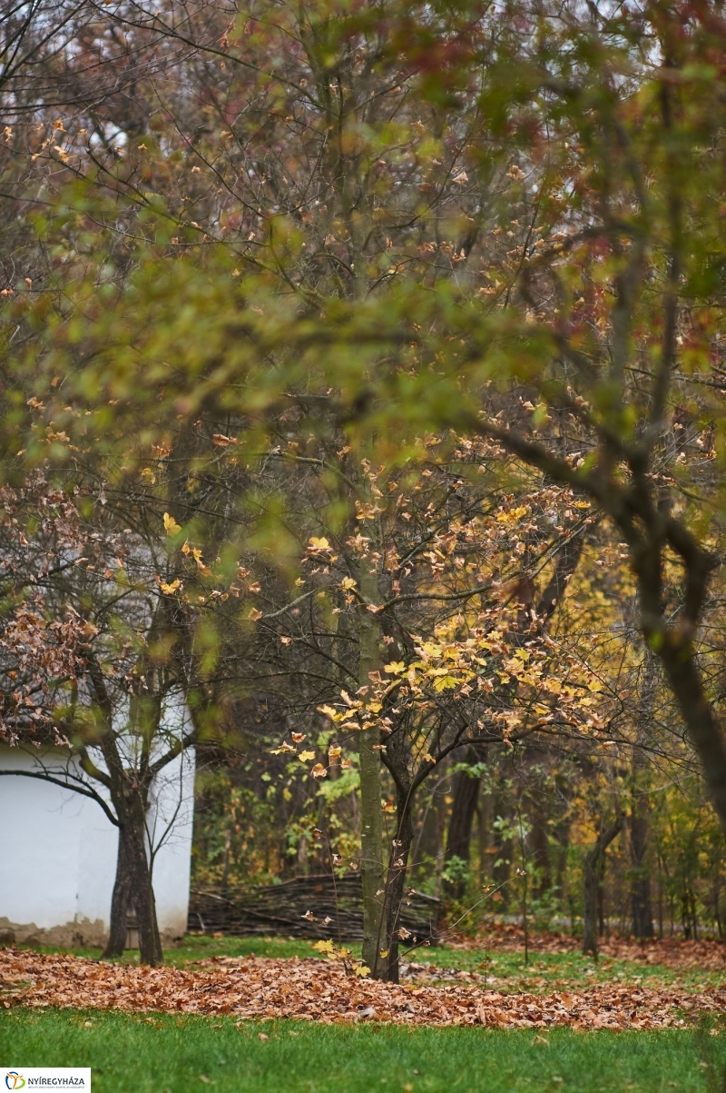 Márton napi vigasság beharangozó - fotó Szarka Lajos