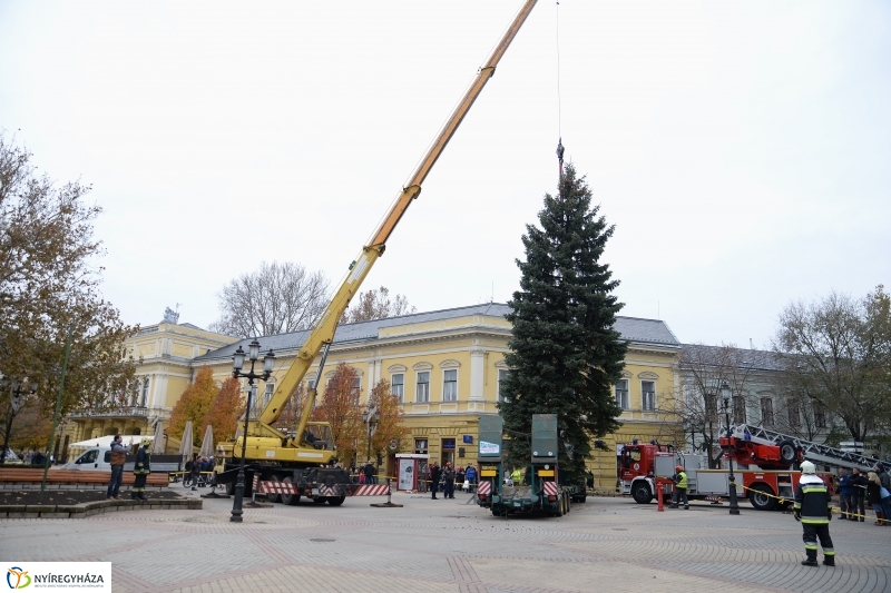 Megérkezett a város karácsonyfája a Kossuth térre-fotó Trifonov Éva