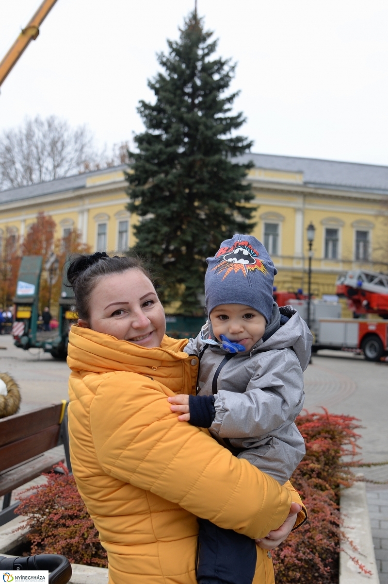 Megérkezett a város karácsonyfája a Kossuth térre-fotó Trifonov Éva