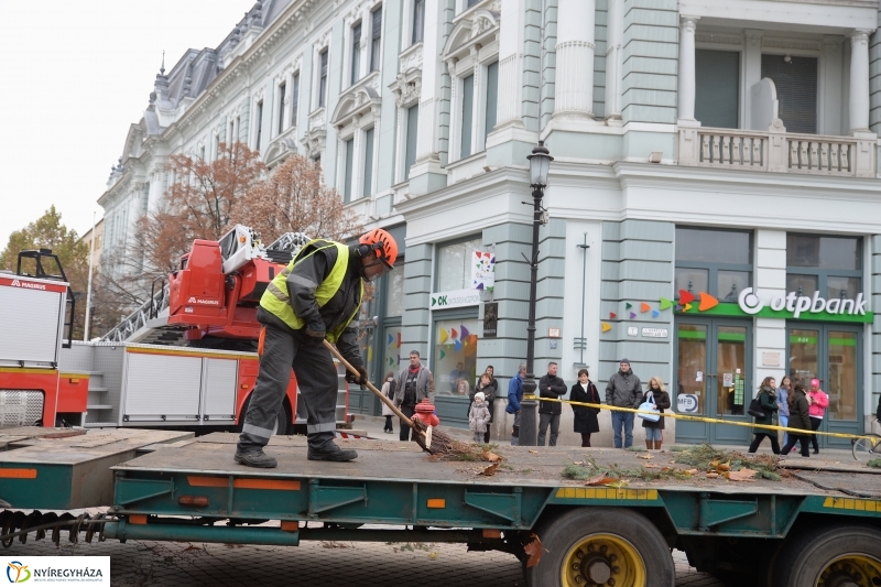 Megérkezett a város karácsonyfája a Kossuth térre-fotó Trifonov Éva