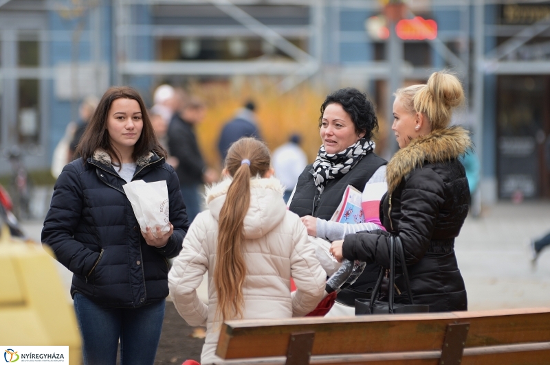 Megérkezett a város karácsonyfája a Kossuth térre-fotó Trifonov Éva