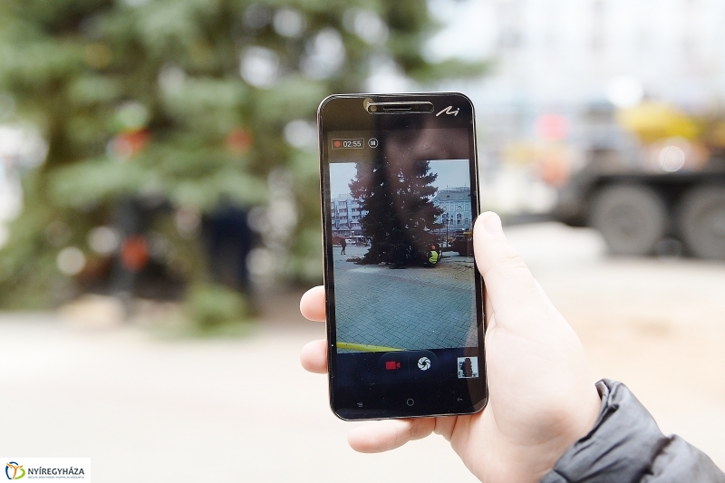 Megérkezett a város karácsonyfája a Kossuth térre-fotó Trifonov Éva