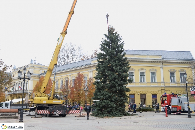 Megérkezett a város karácsonyfája a Kossuth térre-fotó Trifonov Éva
