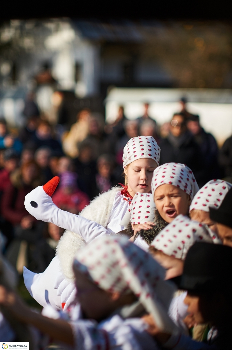 Márton Napi Vigasság 2017  I - fotó Szarka Lajos