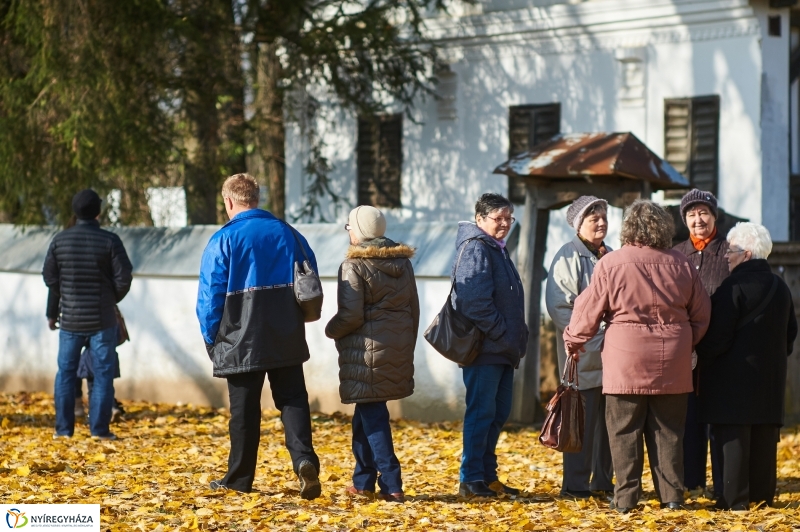Márton Napi Vigasság 2017  I - fotó Szarka Lajos
