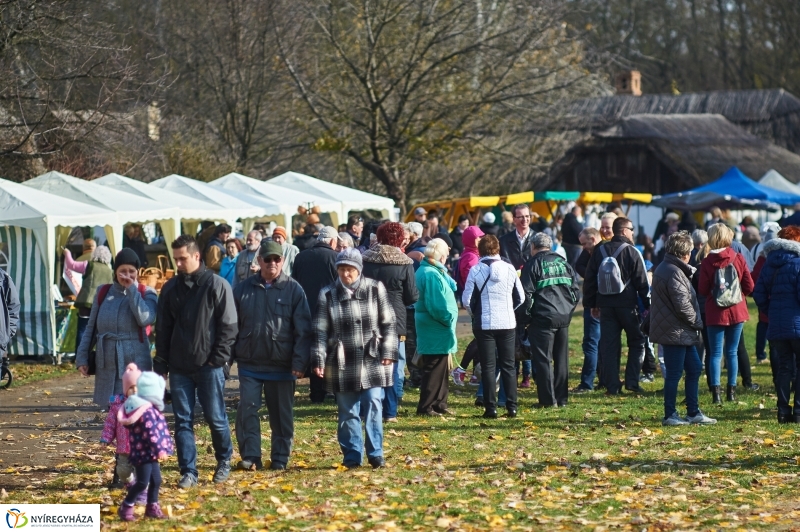 Márton Napi Vigasság 2017  I - fotó Szarka Lajos