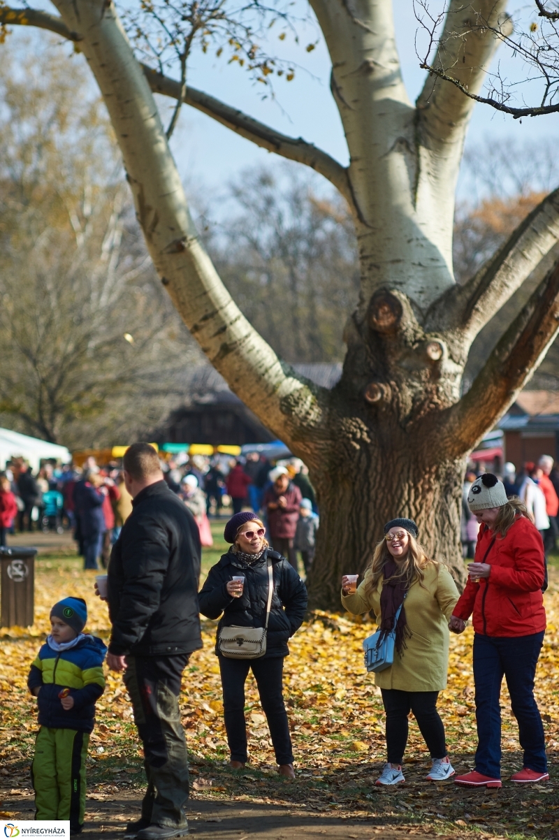 Márton Napi Vigasság 2017  I - fotó Szarka Lajos