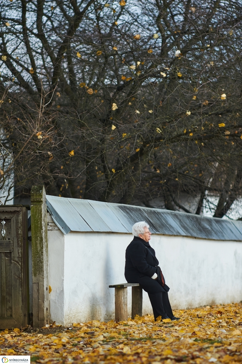 Márton Napi Vigasság 2017  I - fotó Szarka Lajos