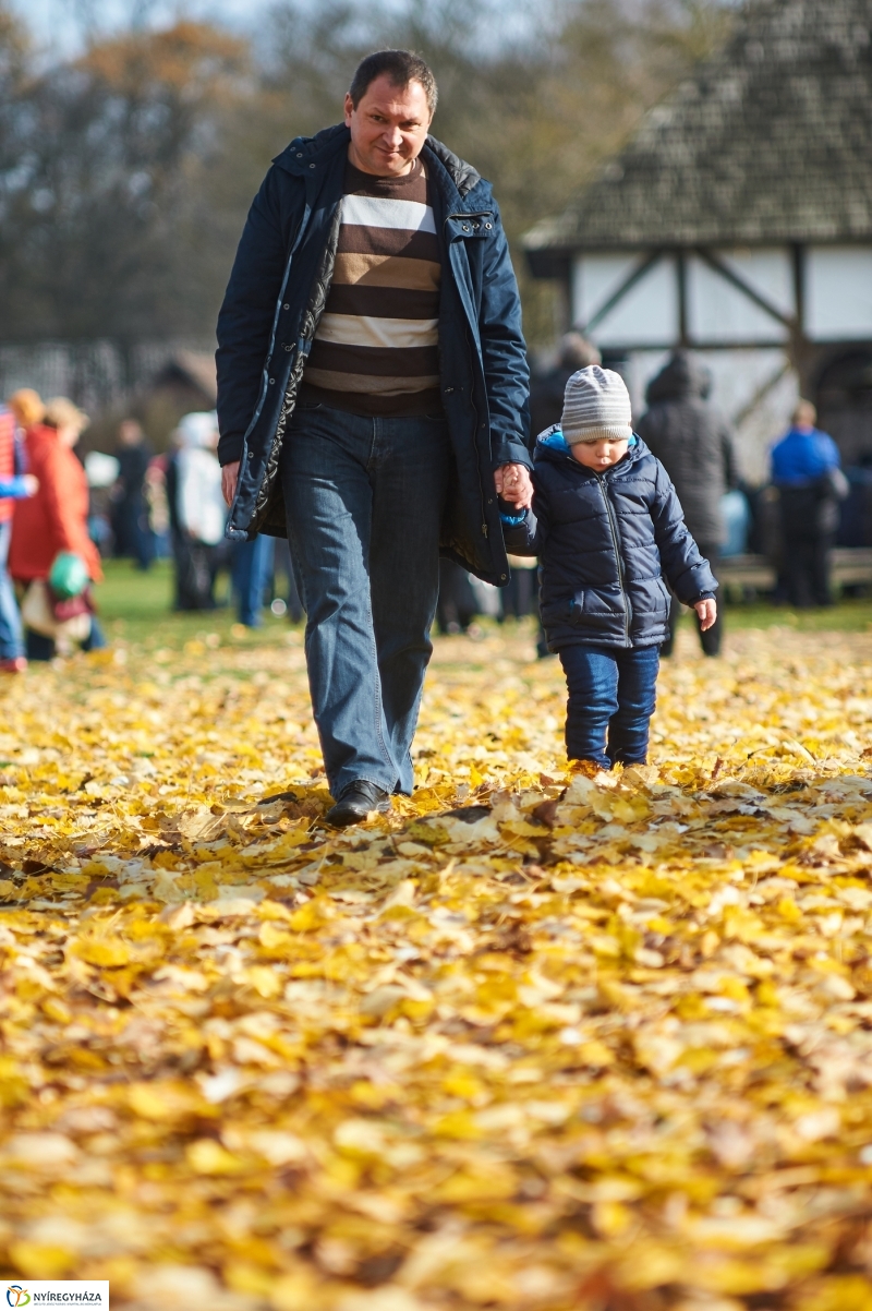 Márton Napi Vigasság 2017  I - fotó Szarka Lajos