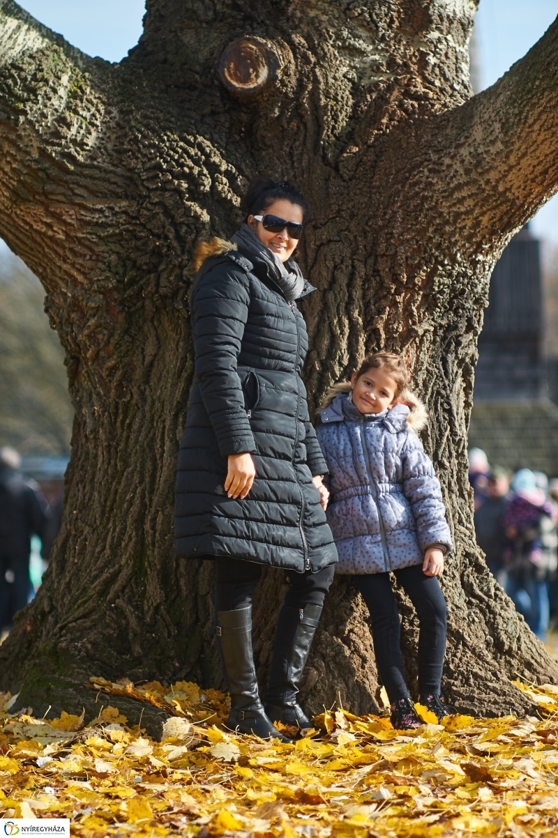 Márton Napi Vigasság 2017  I - fotó Szarka Lajos