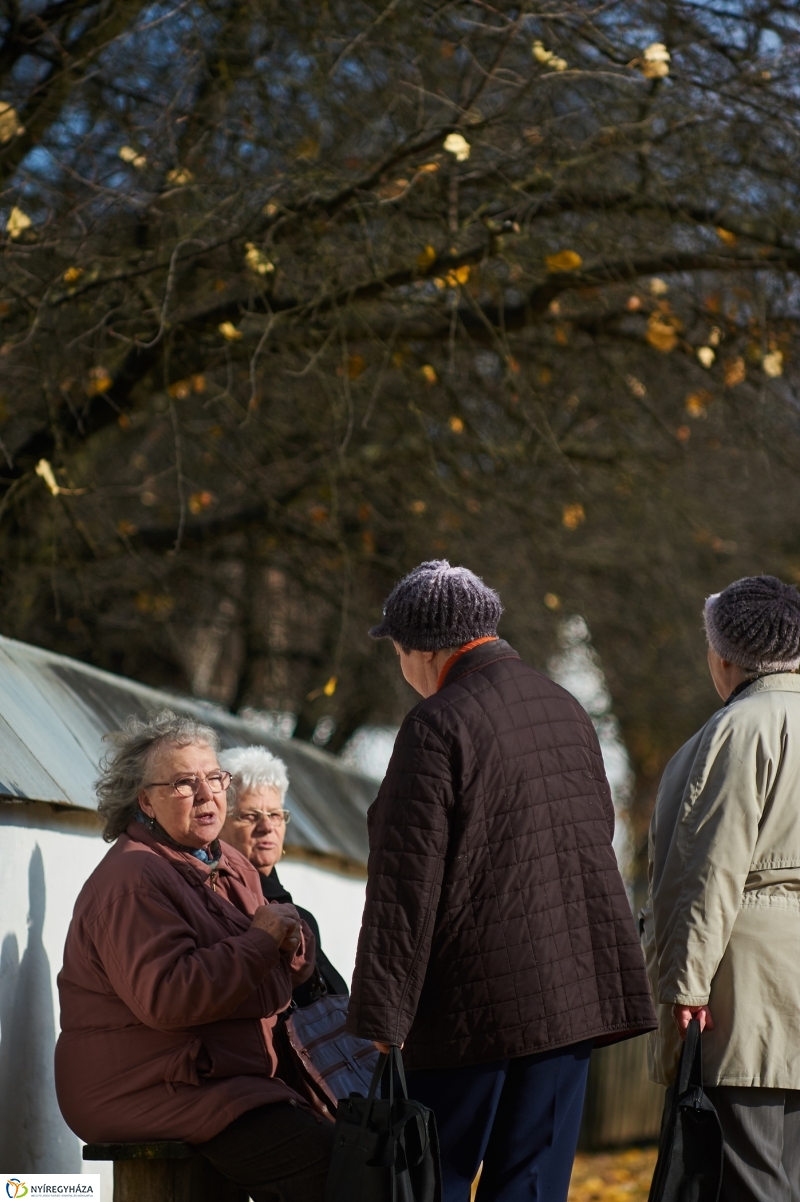 Márton Napi Vigasság 2017  I - fotó Szarka Lajos